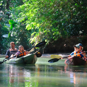Mangrove Kayak Tour