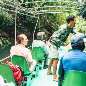 Mangrove Boat Tour